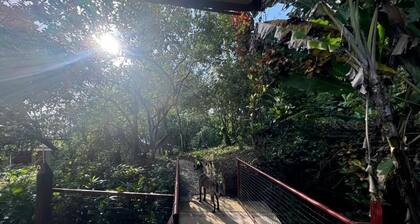 Cabinas & Glamping El Mango
