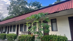 Un edificio con techo rojo, varias ventanas y un jardín con arbustos verdes y un árbol de papaya.