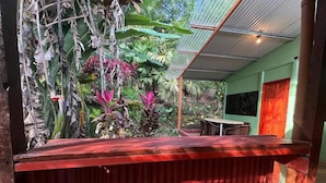 Un bar con mostrador de madera y un taburete rojo, rodeado de exuberante vegetación tropical.