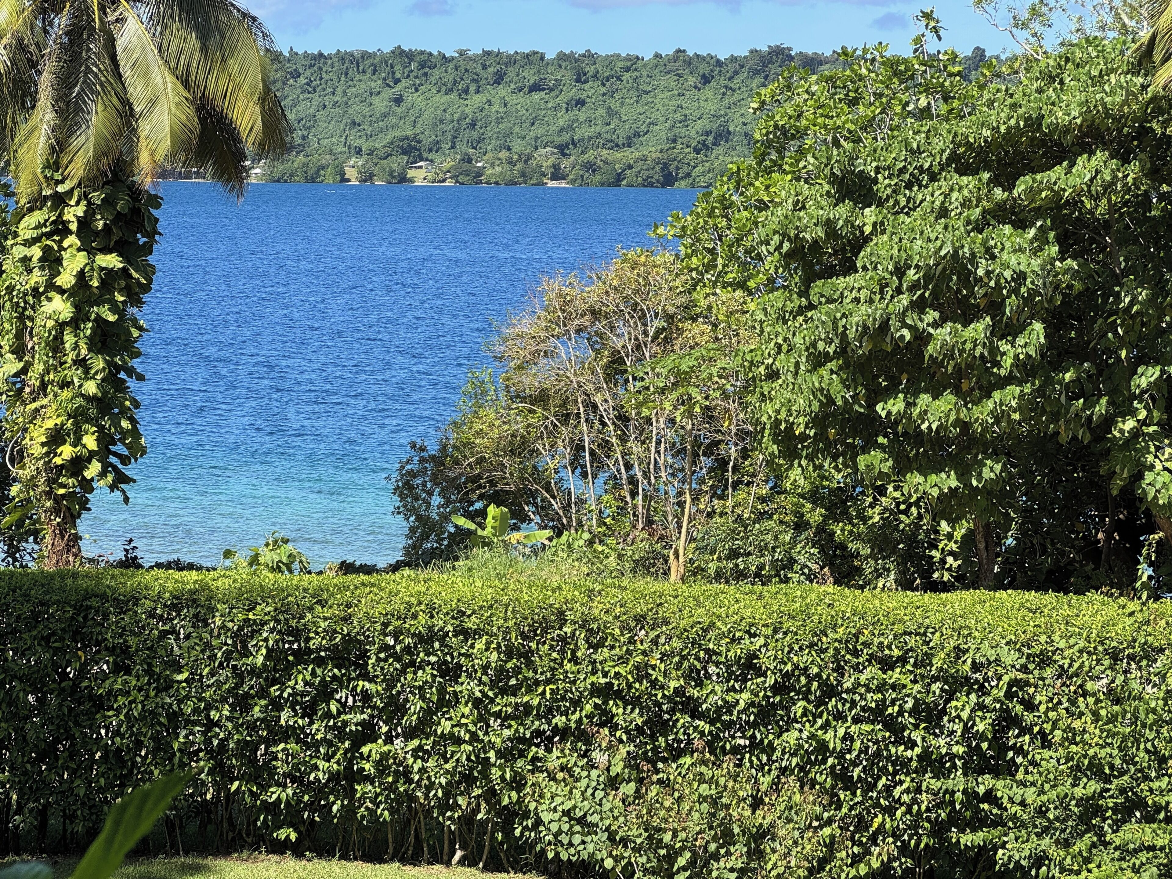 A lush green landscape with a body of water, trees, and a clear sky.