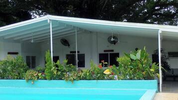 Un espace extérieur abrité, doté d’une piscine et entouré de différentes plantes et arbres.