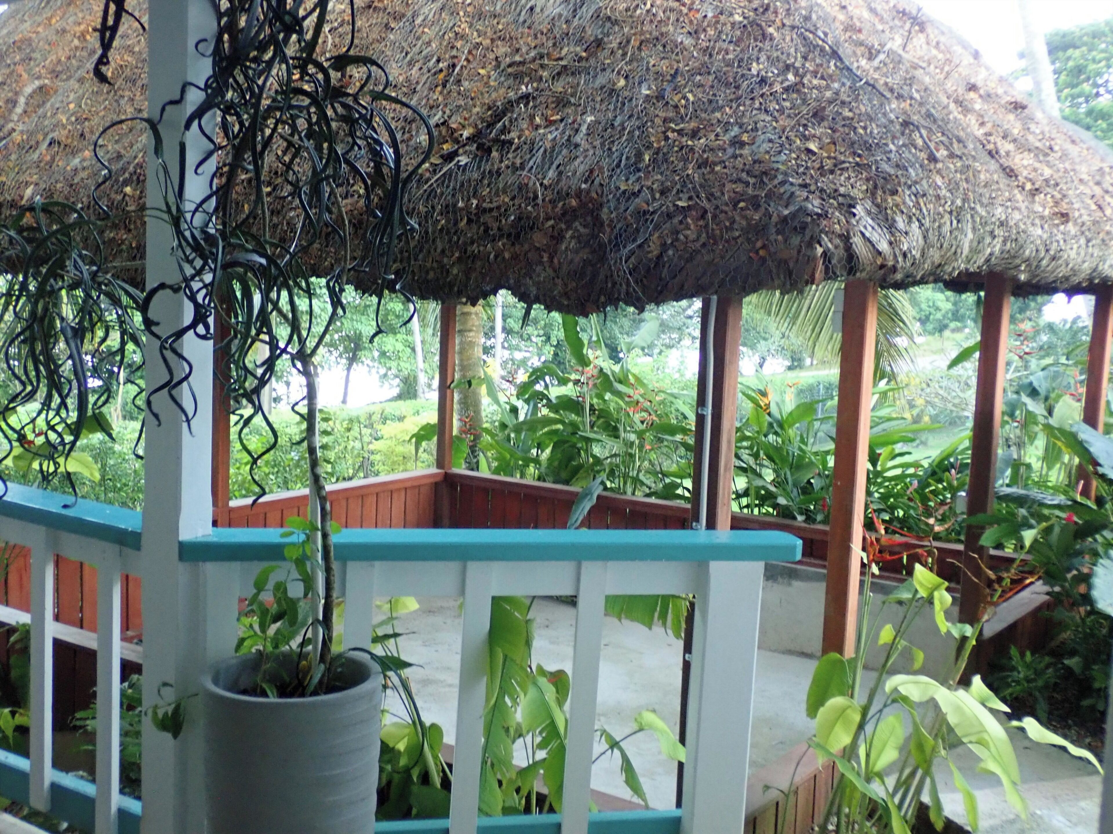 Un espacio al aire libre cubierto con techo de paja, plantas en macetas y baranda de madera.