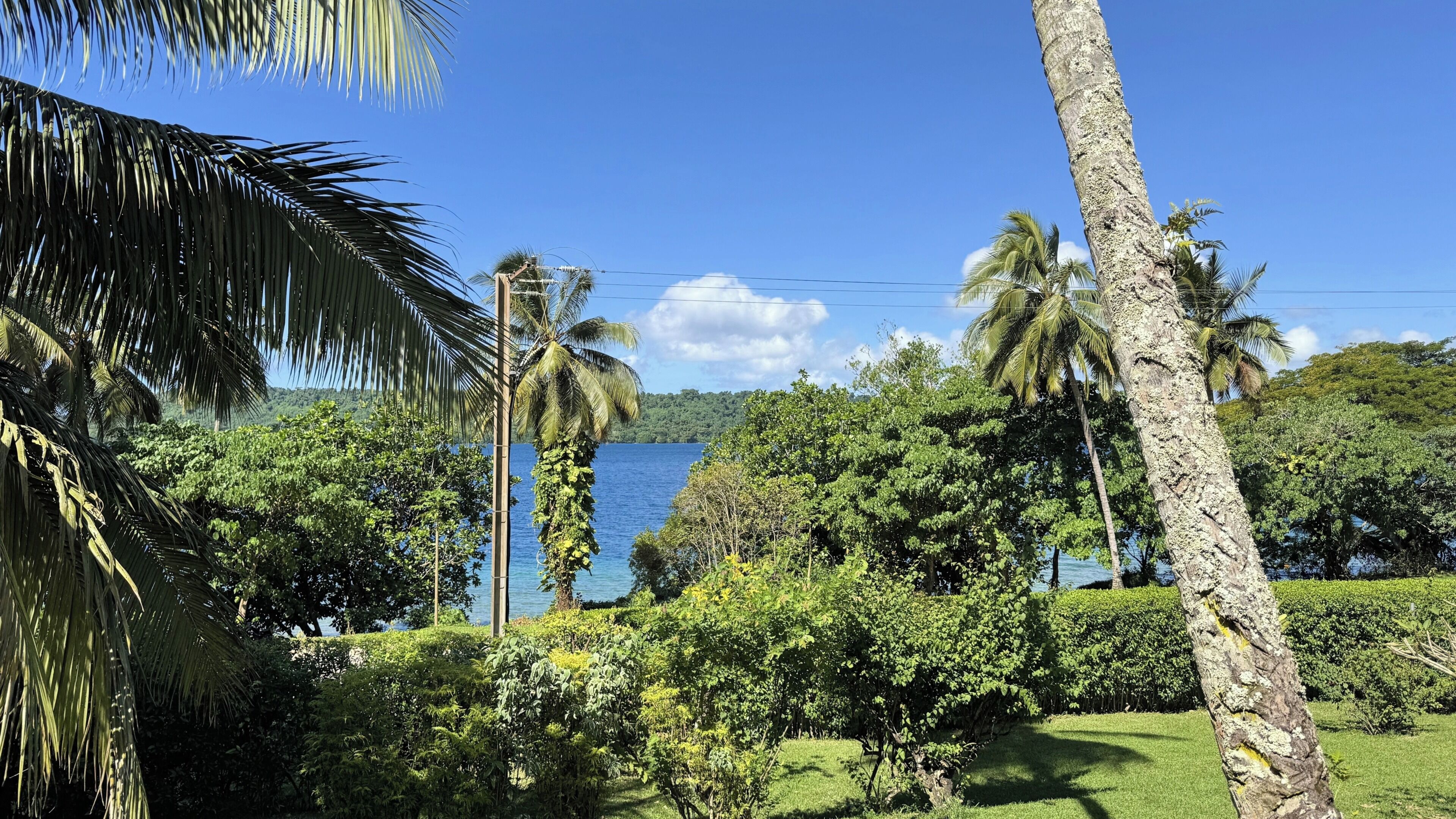 A tropical landscape with palm trees, a body of water, and lush greenery.