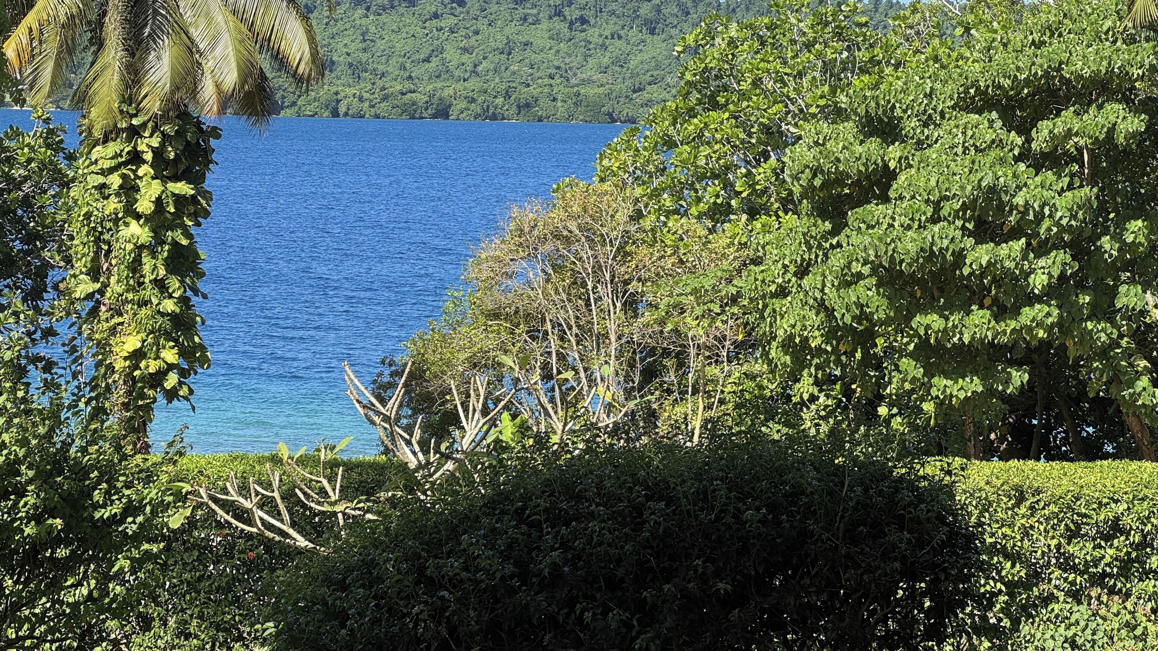 A lush landscape with dense foliage and a clear view of a large body of water.