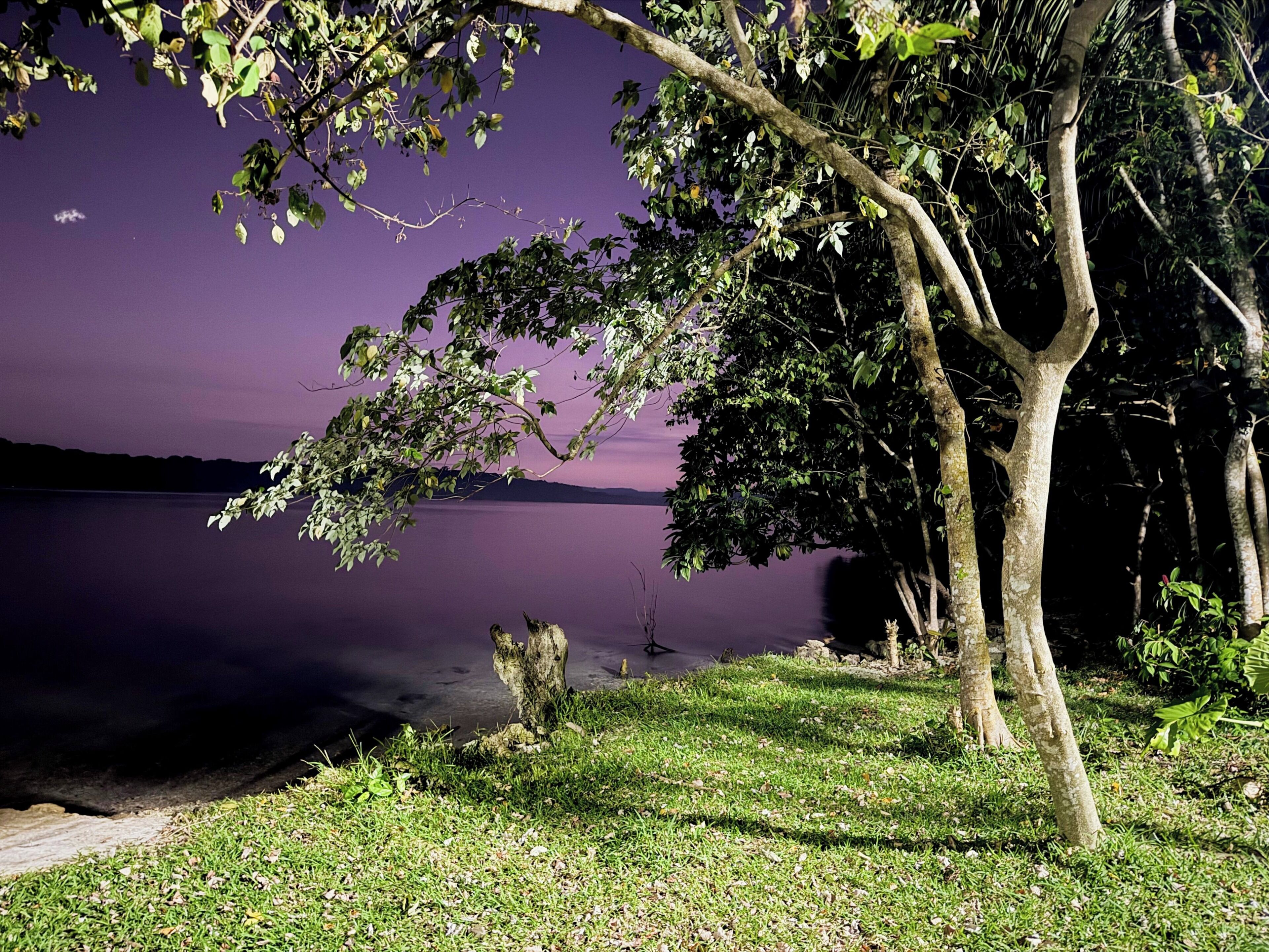Vista de un lago con árboles y una zona cubierta de césped.