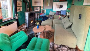 TV, fireplace, table tennis, books