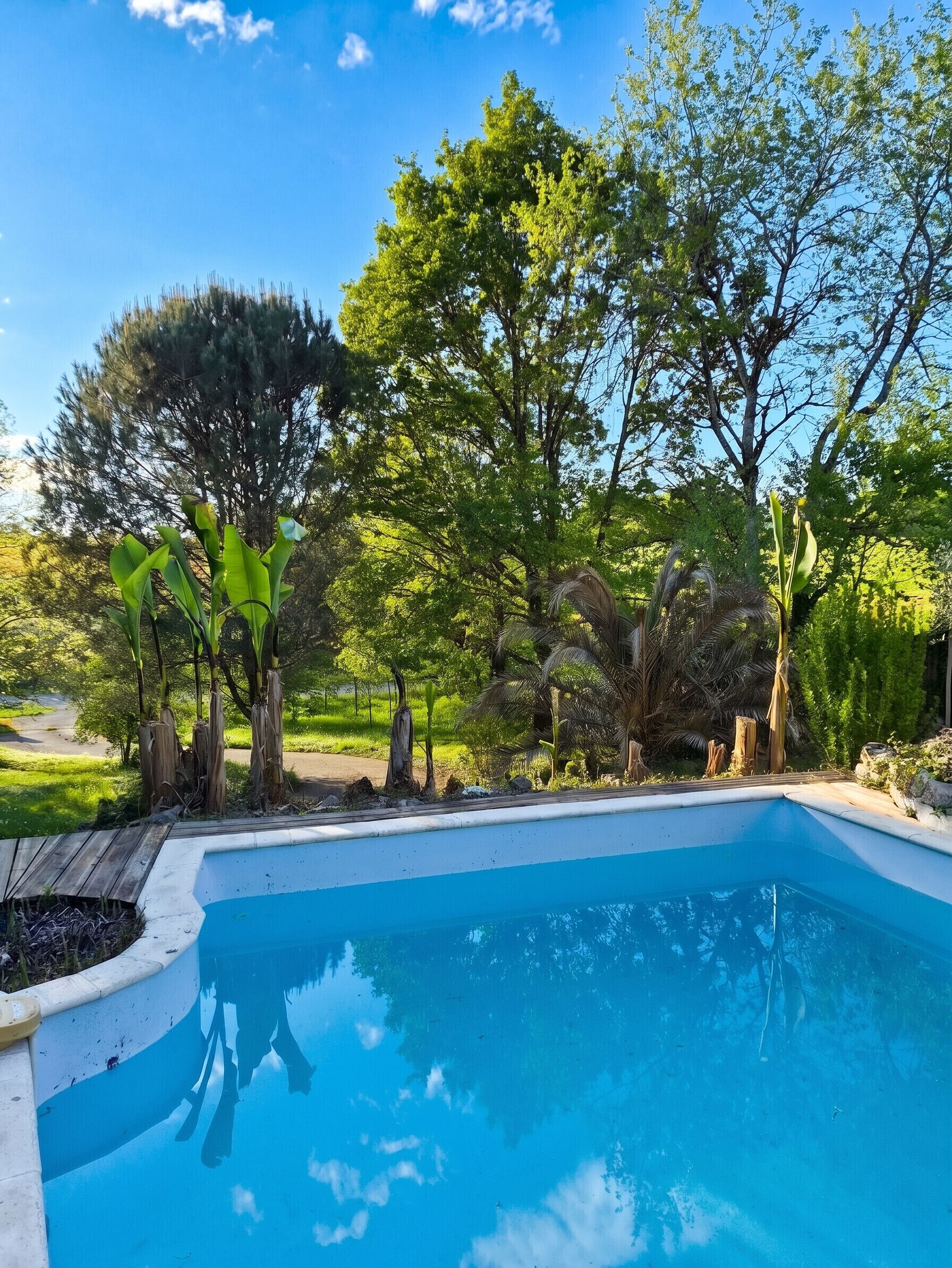 Swimming pool view