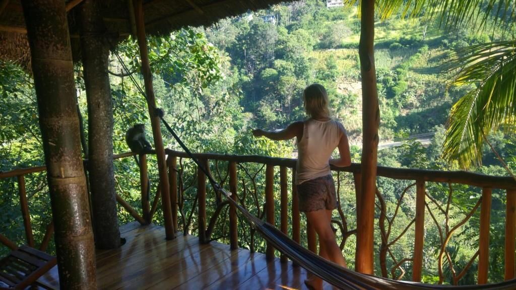 A person standing on a wooden deck with a view of a lush green forest.