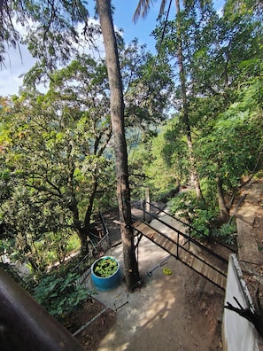 A forested area with a wooden bridge, a large tree, and a concrete path. - Ella Treehouse (Ella)