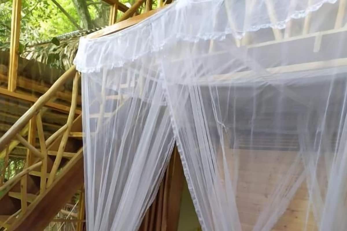 Una cama con dosel blanco, suelo de madera y almohada verde a rayas.
