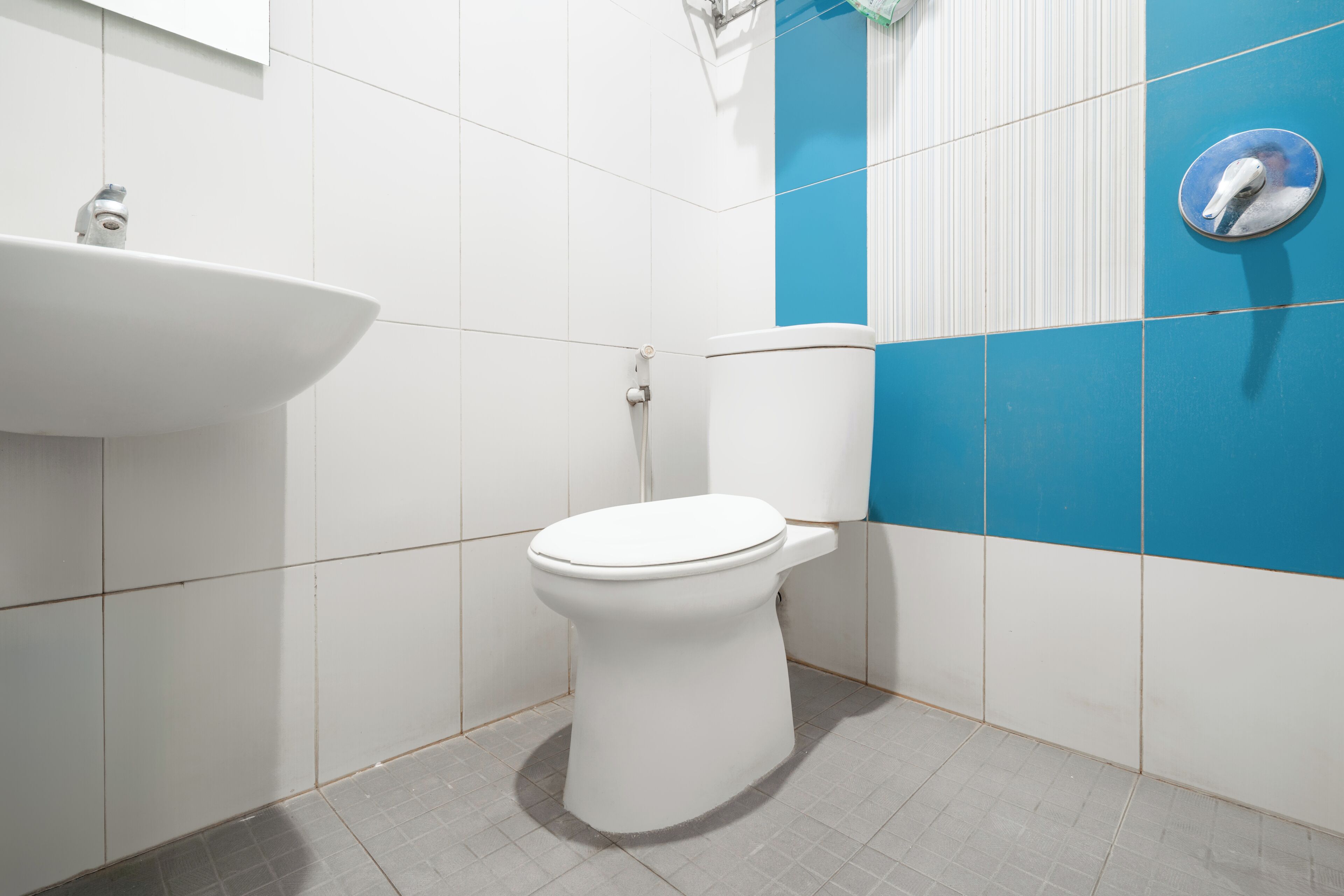 Une salle de bain avec des toilettes blanches, un lavabo blanc et des murs recouverts de carreaux bleus et blancs.