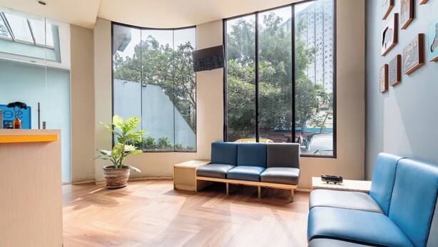 A modern living room with a sofa, a small table, a potted plant, and a large window with a view of trees and buildings.