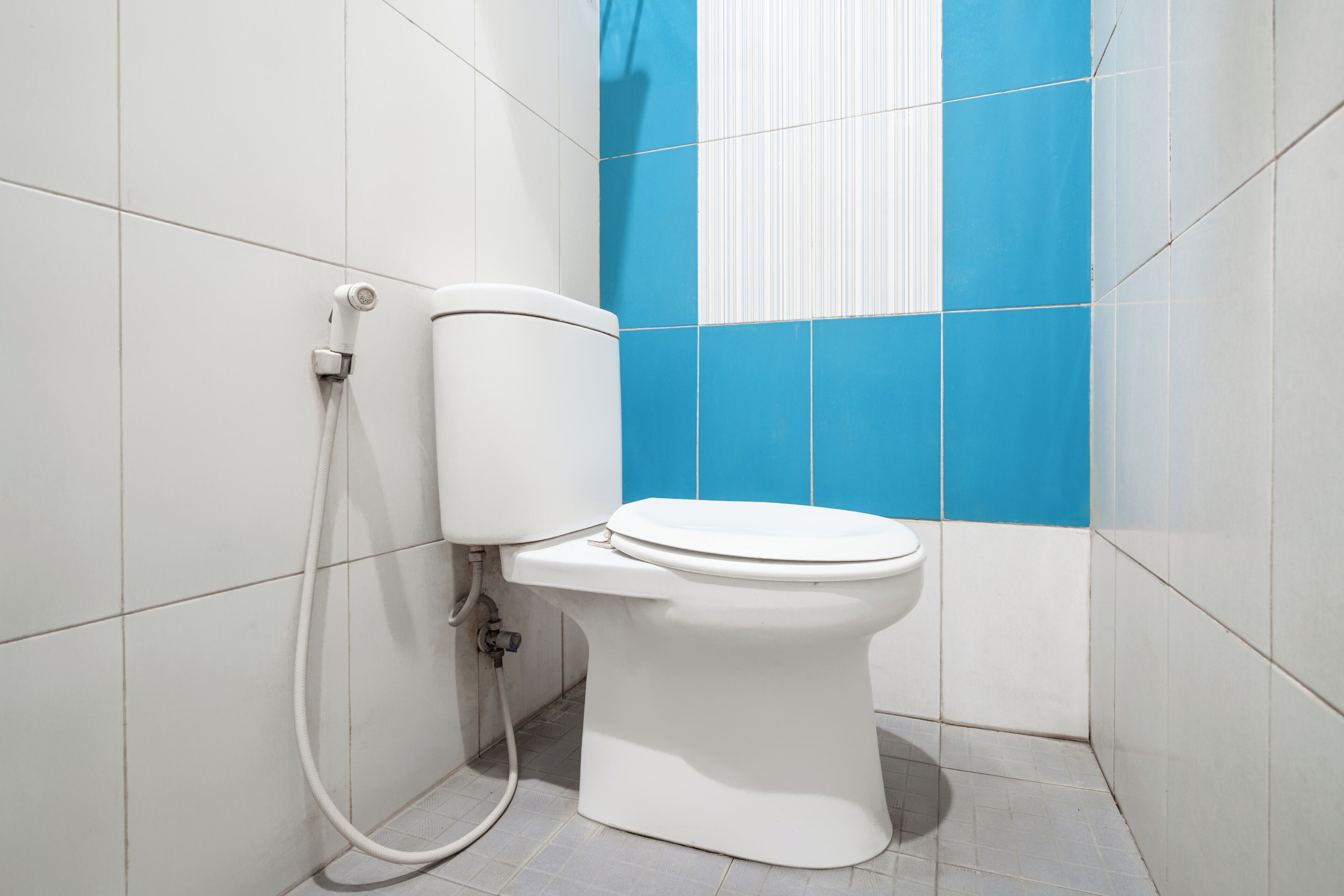 Eine weiße Toilette mit Tank und Bidetanschluss, vor einer Wand mit blauen und weißen Fliesen.