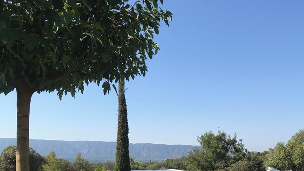 A poolside area with a dog, a tree, and a view of mountains. - Les Savournins Gordes - La Borie des Alpilles (Gordes)