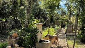 A garden with stone planters, a dog, and a stone wall. - Les Savournins Gordes - La Borie des Alpilles (Gordes)