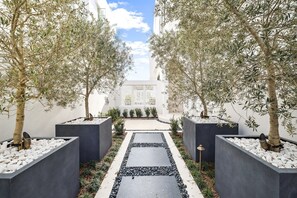 A pathway flanked by olive trees in planters, leading to a white building with a lattice facade. - Alys Beach Gulf-Front Estate • Rooftop Pool, Outdoor Kitchen, Private Beach (Alys Beach)