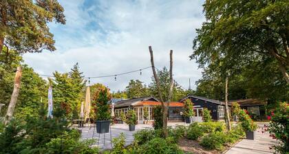 Vakantiepark De Wiltzangh - Veenborg Lodge by Interhome