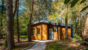Una pequeña cabaña de madera con un camino de grava que conduce a ella, rodeada de árboles.