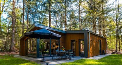 Vakantiepark De Wiltzangh - Zandborg Lodge by Interhome