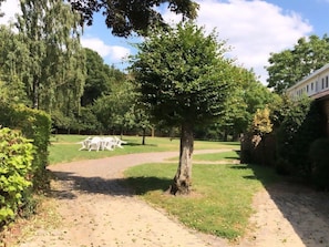 Ein gepflasterter Weg führt zu einem Gebäude mit einer Backsteinmauer und einem Baum im Vordergrund.