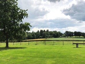 Ein grasbewachsenes Feld mit einer Bank, Bäumen und einem Zaun.