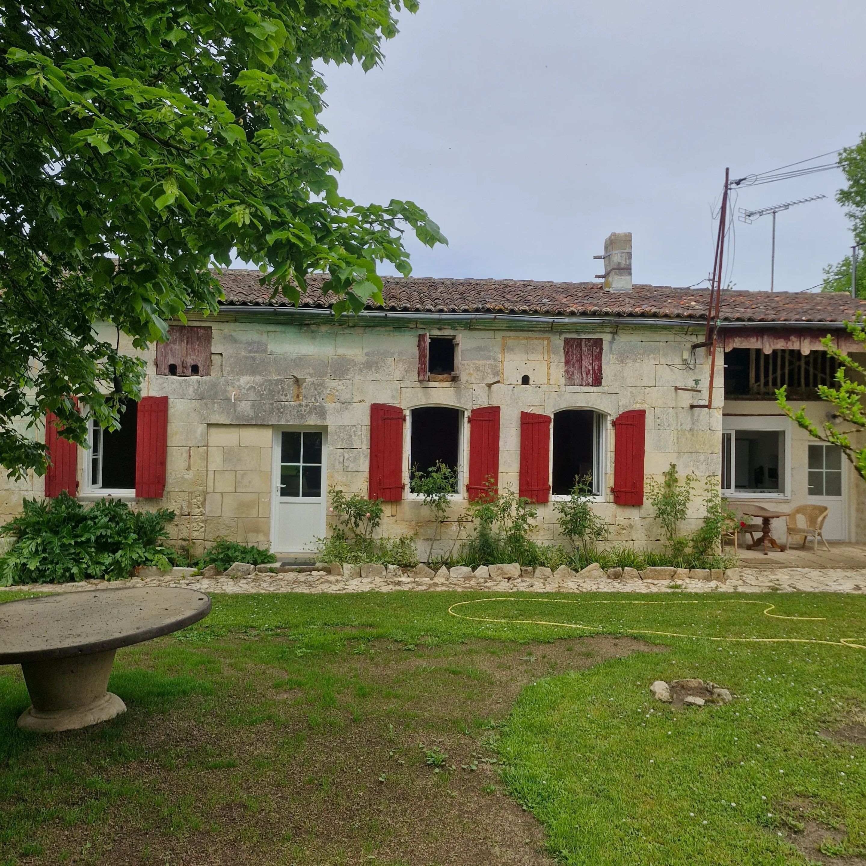 Front view