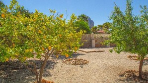 Property grounds - Vacation home  by Interhome (Calpe/Calp)