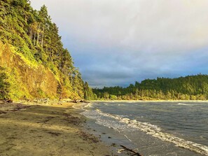 Beach - Surf Eyrie (Port Angeles)