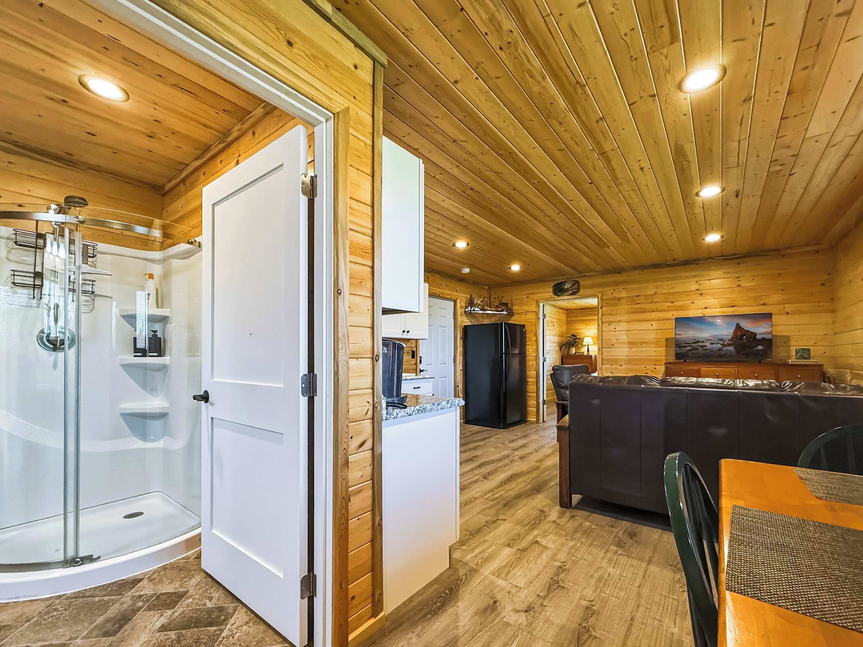 Interior de una cabaña de madera con ducha de vidrio, zona de cocina y rincón de estar con televisor.