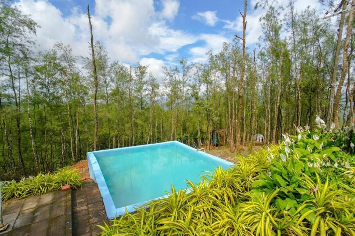 Uma piscina retangular com superfície azul cristalina, rodeada por vegetação exuberante e árvores altas.