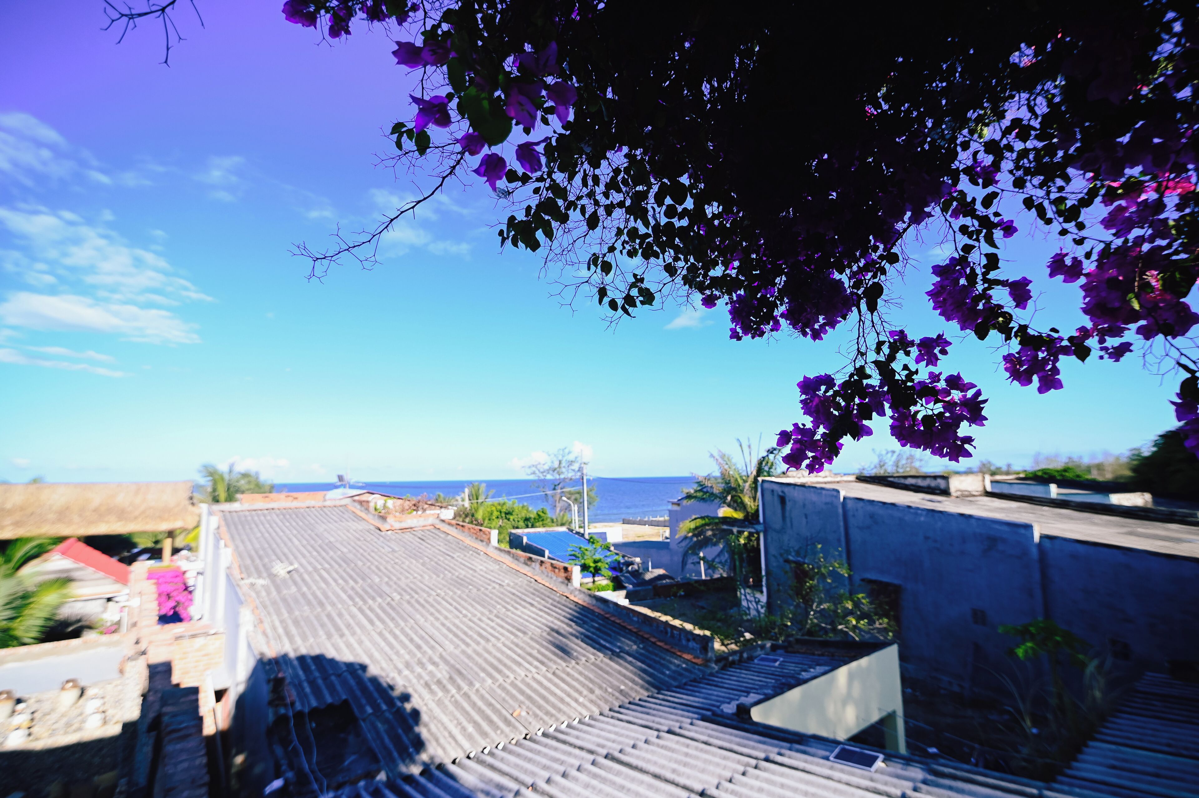 Eine Dachterrasse mit Meerblick, ein Gebäude mit Strohdach und einige Grünpflanzen.