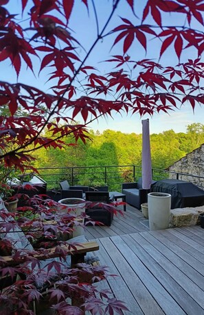 Terrace/patio - Charming 13th-century house in a medieval village in the heart of the Golden Triangle (Cestayrols)