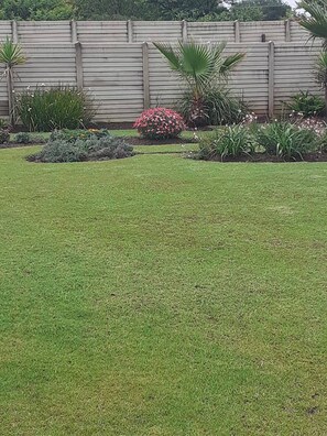 A well-maintained lawn with a wooden fence, various shrubs, and a small flower bed. - Rustic Red Serene & Comfortable Country Home (Benoni)