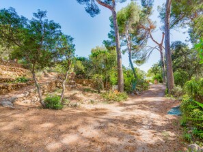Property grounds - SES ALZINES APARTMENT by Interhome (Cala Bona)