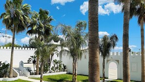 Un patio con palmeras, un muro blanco y una reja.