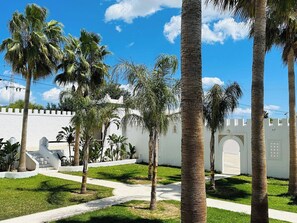 A courtyard with palm trees, a white wall, and a gate.