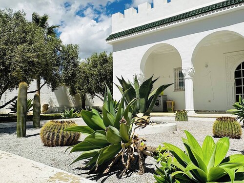 Villa Oasis Hammamet