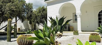 Villa Oasis Hammamet