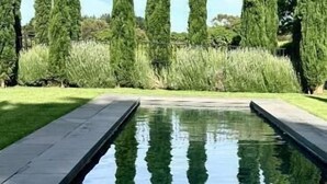Una piscina rectangular con dos objetos esféricos blancos al final, rodeada de árboles altos y delgados y un cielo despejado.