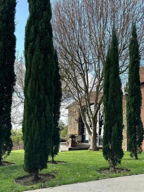 A residential area with a stone building, a lawn, and several tall, conical trees.