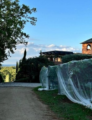 A rural property with a dirt path leading to a building with a sloped roof and an arched window. - Frogs Pond Vineyards (Red Hill)