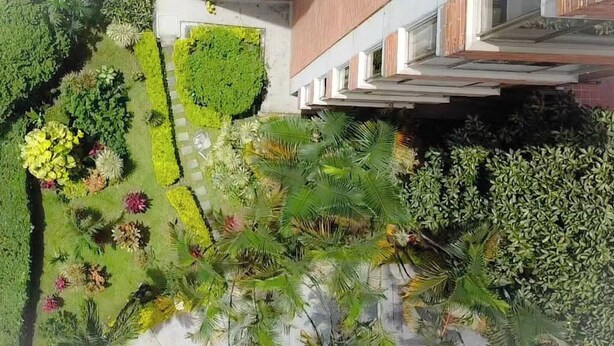 Un giardino curato con diverse piante e un edificio sullo sfondo.