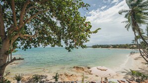 A beach with clear water, lounge chairs, and a large tree providing shade. - Charming Private Guest Room in Maret Thailand (Maret)