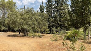 A natural outdoor area with trees and dry ground. - LA CADENIERE by Interhome (Carces)