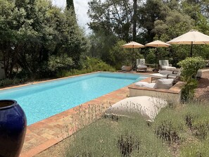 Piscina retangular com borda azulejada, rodeada por um jardim com diversas plantas e árvores. Há cadeiras de descanso e guarda-sóis oferecendo sombra.