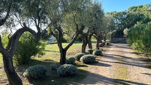 Property grounds - LA VOLIERE by Interhome (Carces)