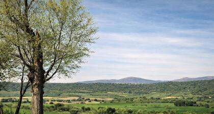 Luxury House in Sierra de Madrid