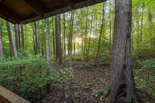 Cozy 3-bedroom cabin with private dock