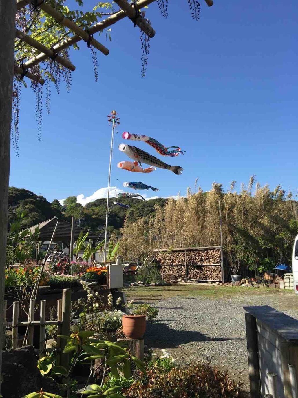 施設の敷地