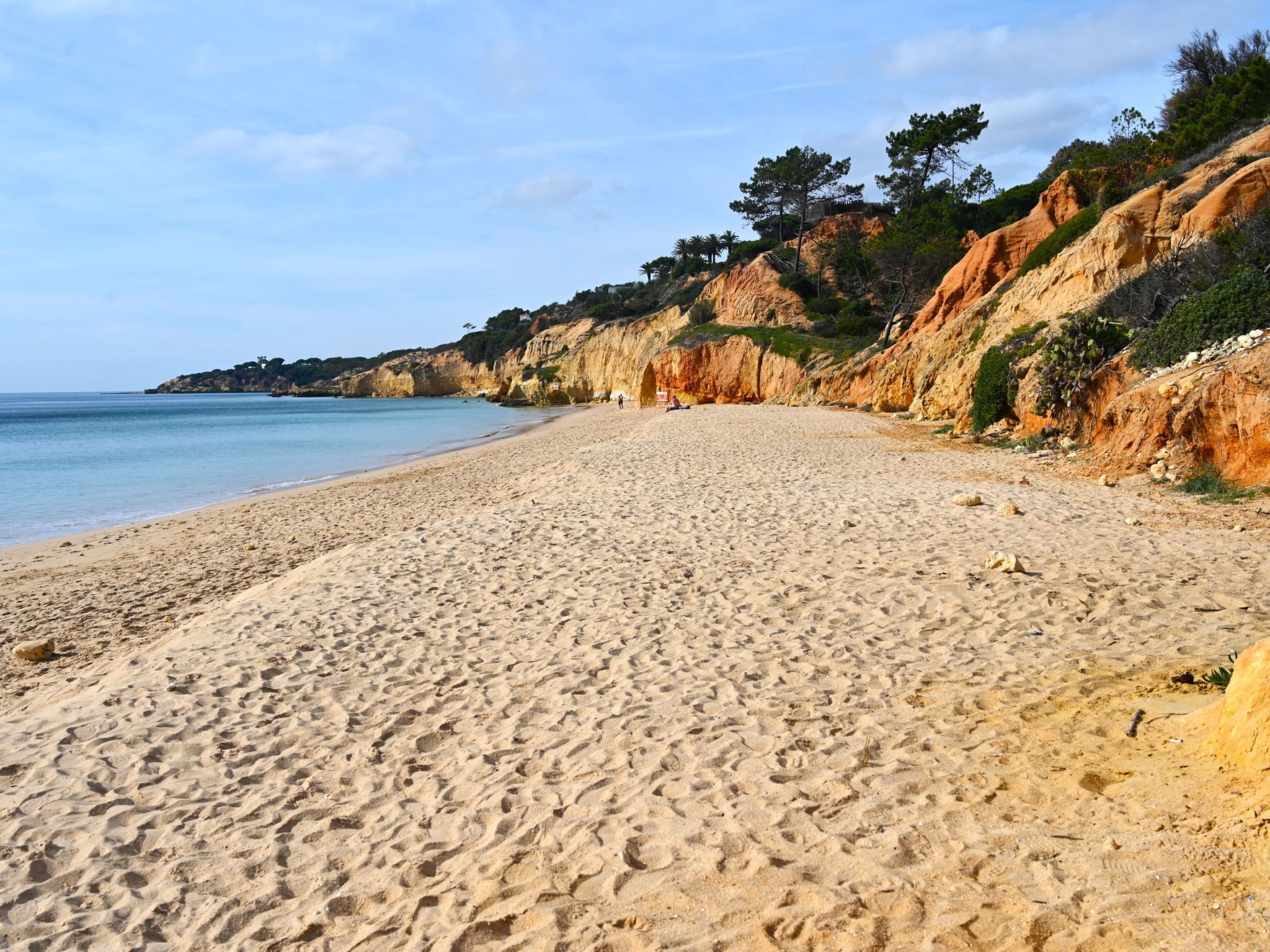 A sandy beach with a clear sky, a rocky cliff, and sparse vegetation.